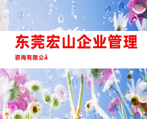 东莞宏山企业管理咨询有限公司