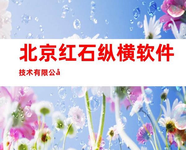 北京红石纵横软件技术有限公司