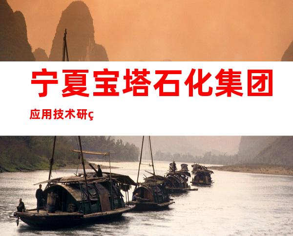 宁夏宝塔石化集团应用技术研究院(有限公司)