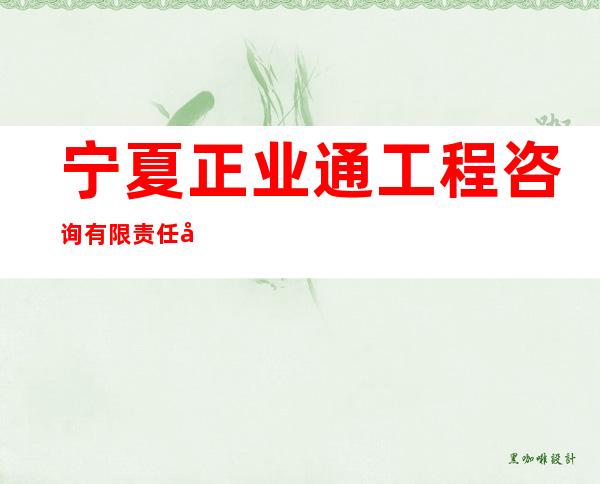 宁夏正业通工程咨询有限责任公司