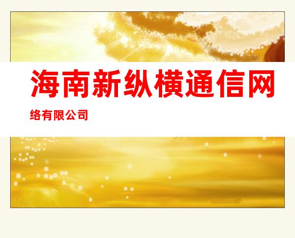 海南新纵横通信网络有限公司