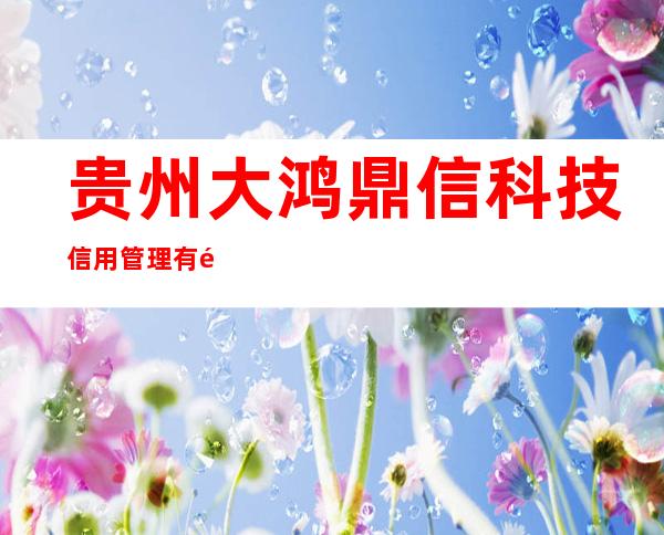 贵州大鸿鼎信科技信用管理有限公司